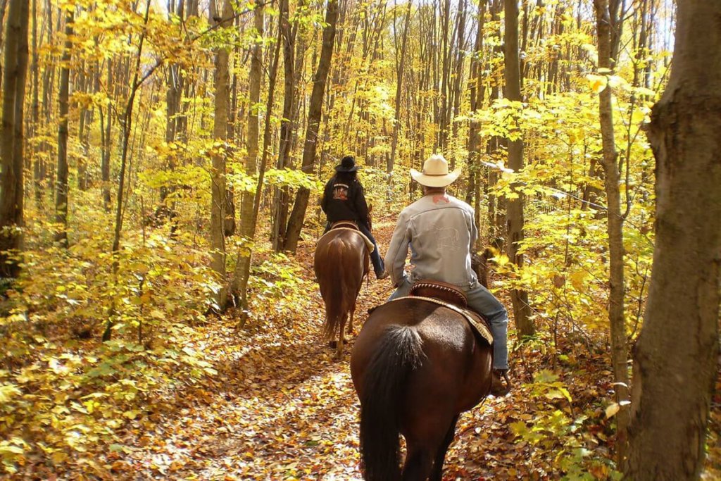 Horseback Riding Santa Fe