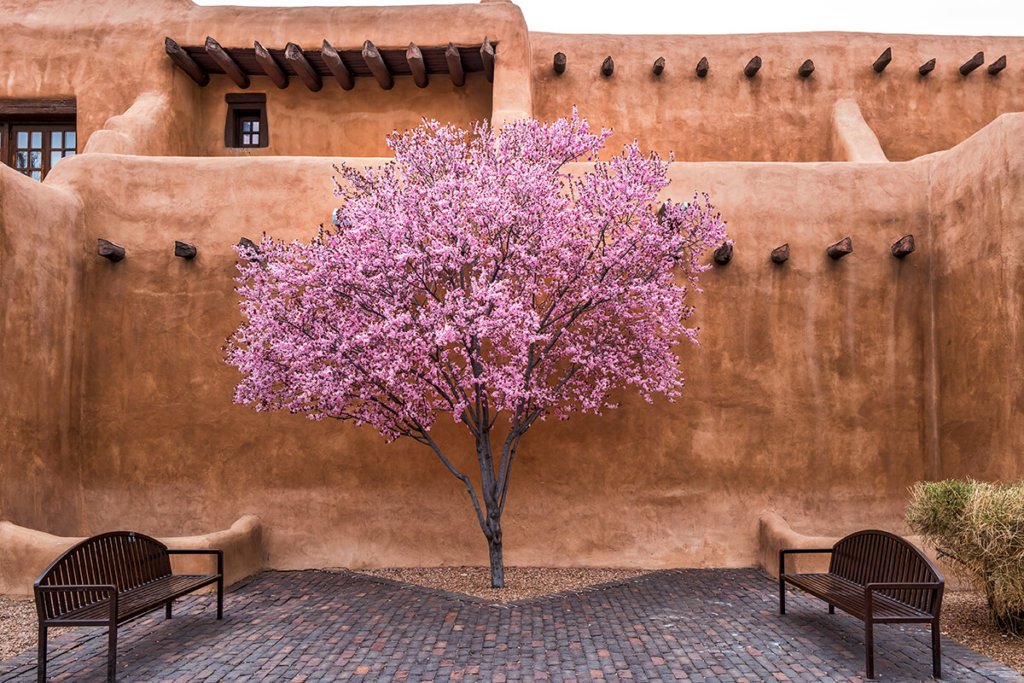Santa Fe Seasons